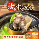 【ふるさと納税】【全6回定期便】生きたまま届く最高級食材! 安心安全な国産! 江田島育ちのすっぽん 【活き】料理 人気 美容 健康 ギフト 広島県産 江田島市/...