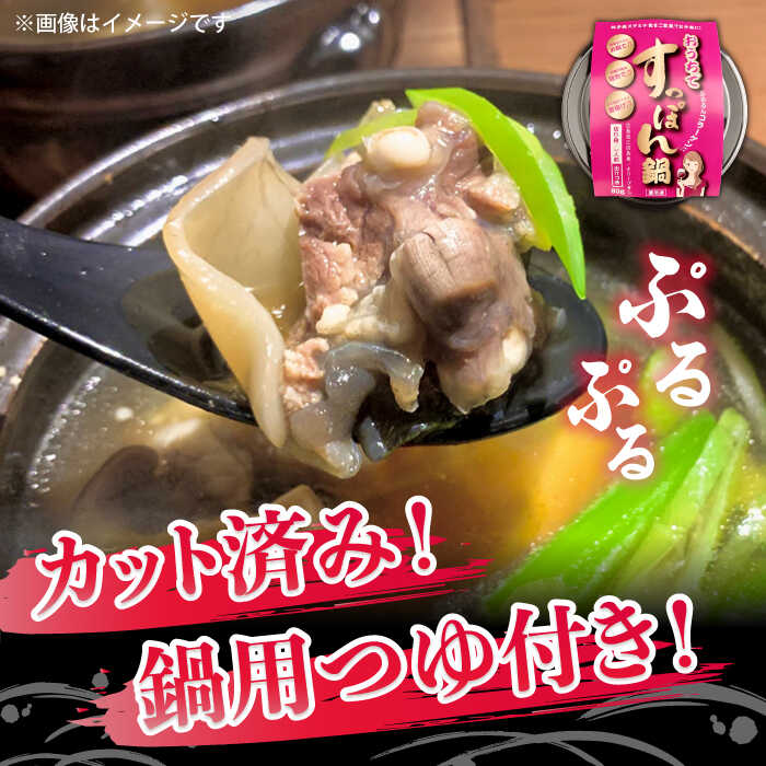 【ふるさと納税】【全6回定期便】海鮮 魚介類 すっぽん 国産の最高級食材！おうちですっぽん鍋 1人前 だし付き 人気 料理 美容 江田島市/平井興産株式会社[XAC012] 海鮮 魚介類 冷蔵 すっぽん スッポン コラーゲン セット 鍋