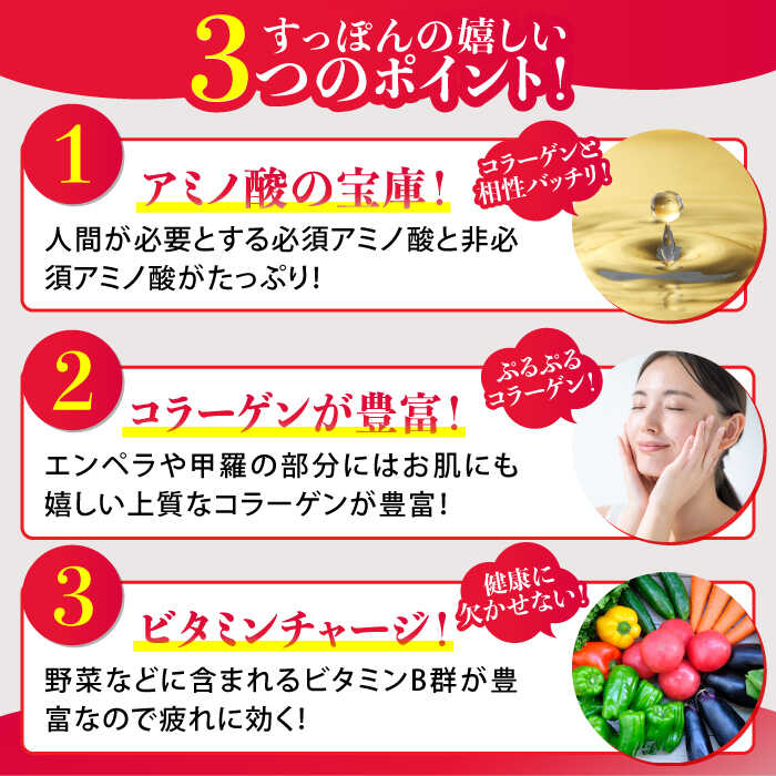 【ふるさと納税】【全12回定期便】海鮮 魚介類 すっぽん 国産の最高級食材！おうちですっぽん鍋 1人前 だし付き 料理 人気 美容 健康 ギフト 広島県産 江田島市/平井興産株式会社[XAC016] 海鮮 魚介類 冷蔵 すっぽん スッポン コラーゲン セット 鍋