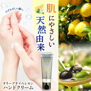 【ふるさと納税】爽やかレモンのビターな香りとさらっと保湿♪【広島産レモン×江田島産オリーブ】天然由来の OLIVE & LEMON HAND CREAM ハンド...