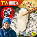 21位! 口コミ数「2件」評価「5」うまさが違う！ (冷凍) 大粒 かき 鍛え牡蠣 むき身 Mサイズ 計1kg（冷凍) 人気 海鮮 BBQ 簡単 レシピ ギフト 江田島市/有限･･･ 