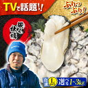 【ふるさと納税】TVで話題!【冷凍】【選べる内容量】鍛え牡蠣 むき身 Lサイズ 1kg〜3kg 広島県産 大粒 かき 人気 海鮮 BBQ 簡単 レシピ ギフト ...