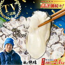【ふるさと納税】牡蠣 TVで話題!【冷凍】【選べるサイズ・内容量】鍛え牡蠣 むき身 約800g〜2.4kg 広島県産 大粒 かき 人気 海鮮 BBQ 簡単 レシ...