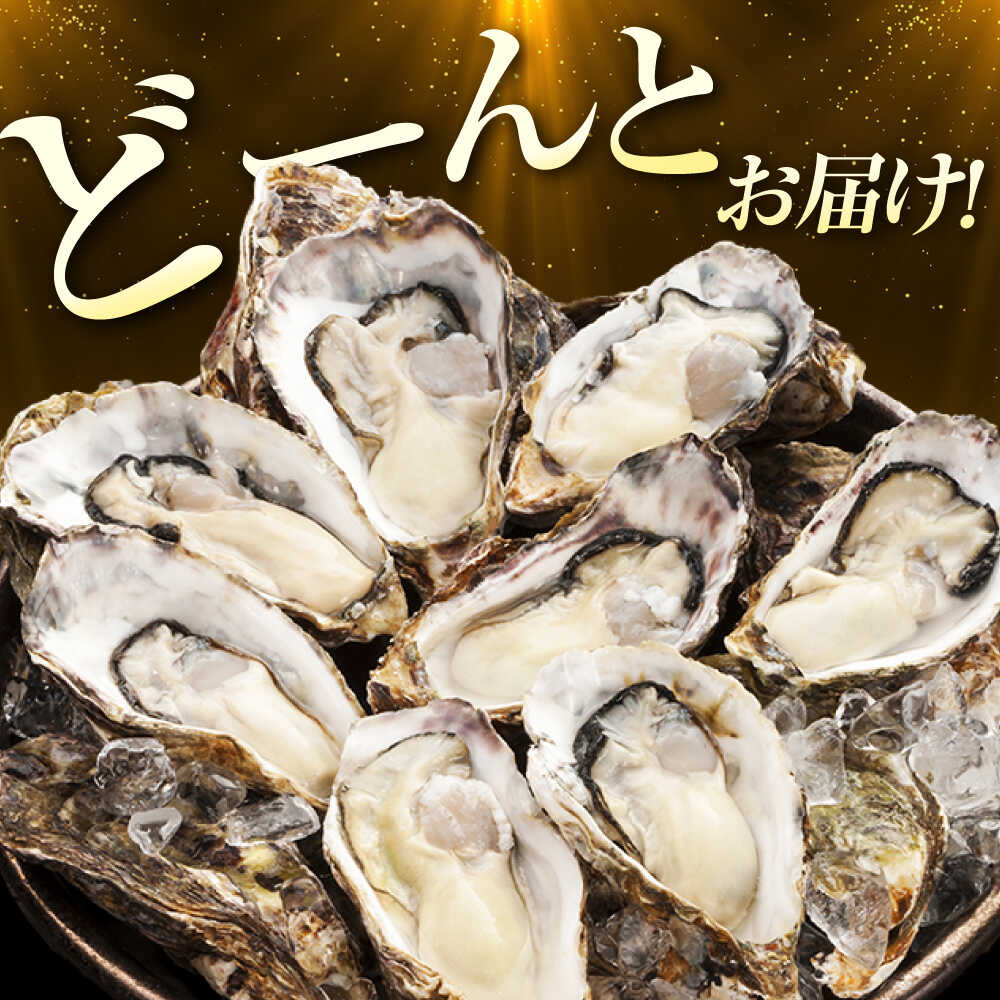 �ڤդ뤵��Ǽ�ǡۥƥ�Ӥ����ꡪ (�ִ�����) �����粴�� ���դ� 10kg ��Ǯ�� �͵� ���� BBQ ��ñ ���ե� ���縩�� ���� ���� �भ�� ���դ� ���� ���� ������ �����ե饤 ���粴�� �������/ͭ�²�һ��ܿ建[XAE067]