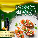 【ふるさと納税】かけるだけで変わる! ハッサクオイル&ピュアオイル 各1本 計2本セット 調味料 オリーブオイル ドレッシング 食用油 ギフト 簡単 レシピ 国...