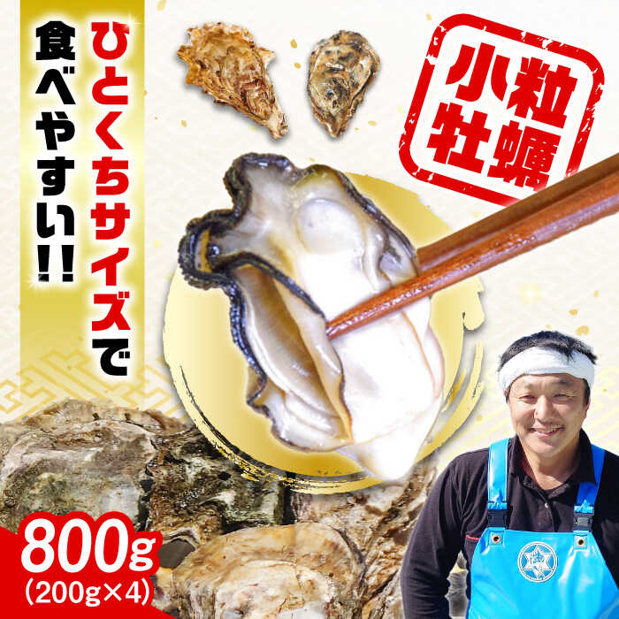 生産量日本一!＼レビューキャンペーン開催中/[生牡蠣]レンジでチンするだけ簡単!江田島の小粒牡蠣『がきんちょ』(200g×4パック) 人気 かき 広島 料理 簡単 レシピ 和食 ギフト 江田島市/株式会社門林水産 