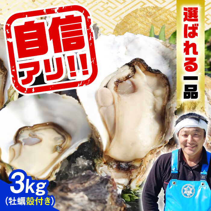 23位! 口コミ数「2件」評価「4」特選 牡蠣三昧！ 【生牡蠣】広島牡蠣　殻付き3kg 人気 かき 広島 料理 簡単 レシピ 海鮮 ギフト 広島県産 江田島市/株式会社門林水産･･･ 