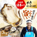 【ふるさと納税】最短1週間で届く！着日指定も可能！ 【生牡蠣】カンカン焼き（ナイフ付き）3kg 人気 かき 広島 料理 簡単 レシピ 海鮮 ギフト 広島県産 江田島市/株式会社門林水産 XAO012