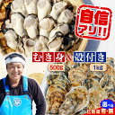 【ふるさと納税】【楽天限定】【選べる配送月・日】生牡蠣 むき身 500g/殻付き1kgセット (加熱用) かき カキ むき身 殻付き 人気 グルメ ギフト 広島...