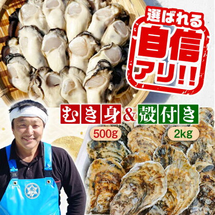 特選 牡蠣三昧！＼レビューキャンペーン開催中／【生牡蠣】広島牡蠣 むき身500g／殻付き2kgセット かき カキ むき身 殻付き 人気 グルメ ギフト プレゼント 広島県産 江田島市/株式会社門林水産[XAO015]