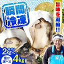 【ふるさと納税】特選 牡蠣三昧!【冷凍】【選べる内容量】牡蠣 殻付き カキ かき 広島 料理 簡単 魚介類 海鮮 ギフト 広島県産 江田島市/株式会社門林水産[...
