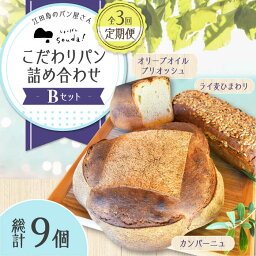 【ふるさと納税】もっちり食感！ 【全3回定期便】江田島のパン屋のこだわりパン 詰め合わせ Bセット (計9個) カフェ 朝食 おやつ 間食 お取り寄せグルメ ギフト 食品 江田島市/しまのぱん souda！ [XAQ010]