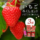 23位! 口コミ数「0件」評価「0」 【1月下旬から順次発送予定】瀬戸内の島で育ったいちご尽くしセット 苺 いちご イチゴ 紅ほっぺ 人気 グルメ 果物 フルーツ ギフト プレ･･･ 