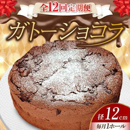 【全12回定期便】しっとりなめらかがたまらない！ ガトーショコラ4号(12cm) ケーキ チョコ お菓子 スイーツ 記念日 洋菓子 贈答 ご褒美 ギフト お取り寄せおやつ 江田島市/美谷ファーム[XBD014]