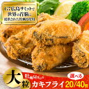 【ふるさと納税】牡蠣 冷凍 かき カキ カキフライ 広島G7で提供された牡蠣!牡蠣屋さんが作ったこだわりの大粒カキフライ(瞬間冷凍)かき 海鮮 和食 海産物 簡...