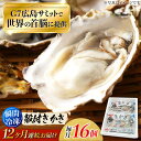 【ふるさと納税】広島G7で提供された牡蠣! 【全12回定期便】やながわ自慢! 殻付き 牡蠣 16個(瞬間冷凍) かき 海鮮 和食 海産物 瀬戸内 広島県産 江田...