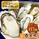 【ふるさと納税】【全12回定期便】厳選!広島 牡蠣 【冷凍】カンカン焼き 殻付き 15個入り 牡蠣 かんかん焼き かき 料理 海産物 簡単 レシピ 限定 瀬戸内...