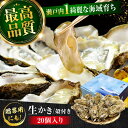 【ふるさと納税】広島牡蠣の老舗かなわ【生牡蠣】安心・安全の新鮮牡蠣 殻付き 20個入り 牡蠣 かき 生食用 魚介類 海鮮 広島県産 江田島市/株式会社かなわ[X...