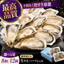 【ふるさと納税】広島牡蠣の老舗かなわ【生牡蠣】【選べる内容量】安心・安全の新鮮牡蠣 牡蠣 かき 殻付き 開殻 ハーフシェルオイスター 生食用 魚介類 海鮮 広島...