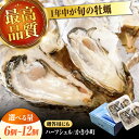 【ふるさと納税】【楽天限定】【選べる発送月・内容量】かなわ 生牡蠣 ハーフシェル『かき小町』 夏のかき 牡蠣 かき 殻付き 開殻 生食用 魚介類 海鮮 広島県産...