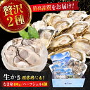 【ふるさと納税】広島牡蠣の老舗かなわ【生牡蠣】牡蠣 かき むき身 400gパック入り / 殻付き 開殻 ハーフシェルオイスター 6個入り 生食用 魚介類 海鮮 ...