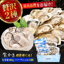 【ふるさと納税】広島牡蠣の老舗かなわ【生牡蠣】牡蠣 かき むき身 400gパック入り / 殻付き 開殻 ハーフシェルオイスター 12個入り 生食用 魚介類 海鮮...