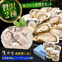 【ふるさと納税】広島牡蠣の老舗かなわ【生牡蠣】牡蠣 かき むき身 厳選 プレミアム瓶入り400g / 殻付き 開殻 ハーフシェルオイスター 12個入り 生食用 ...