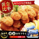 【ふるさと納税】【楽天限定】【選べる発送月】かなわ 冷凍かきフライ Mサイズ 40個入り 牡蠣 かき 魚介類 和食 海鮮 海産物 広島県産 江田島市/株式会社か...