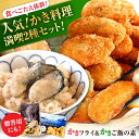 【ふるさと納税】牡蠣 かなわ 米 広島牡蠣の老舗!安心・安全の新鮮牡蠣 牡蠣 かきフライ Mサイズ 20個入 / かきご飯の素 1袋入 魚介類 和食 海鮮 海産...