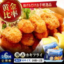 【ふるさと納税】【全6回定期便】牡蠣 冷凍 かなわ 広島牡蠣の老舗!安心・安全の新鮮牡蠣【瞬間冷凍】牡蠣 かきフライMサイズ 40個入り 魚介類 和食 海鮮 海...