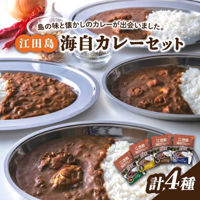 【ふるさと納税】ご当地カレー！ 海上自衛隊公認！江田島海自カレー 4種 (計4個) シーフード キーマ ポーク オイスター カレー かれー レトルト食品 保存食 簡単 レシピ 広島県産 江田島市/江田島商工会(e's)[XBS011]