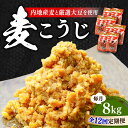 【ふるさと納税】【全12回定期便】毎日食べても飽きない!創業明治28年の伝統の味! 田舎みそ(麦こうじ)1kg×8袋 安心 安全 料理 お味噌汁 らーめん 酵素...