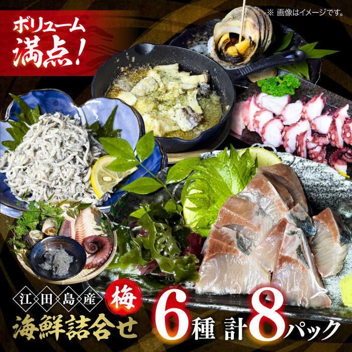 【ふるさと納税】【鮮度抜群】海鮮 6種 詰め合わせ「梅」 海鮮 魚介類 冷凍 水産加工品 海藻 鮮魚 さかな 刺身 盛り合わせ 詰め合わせ セット 小分け 料理...