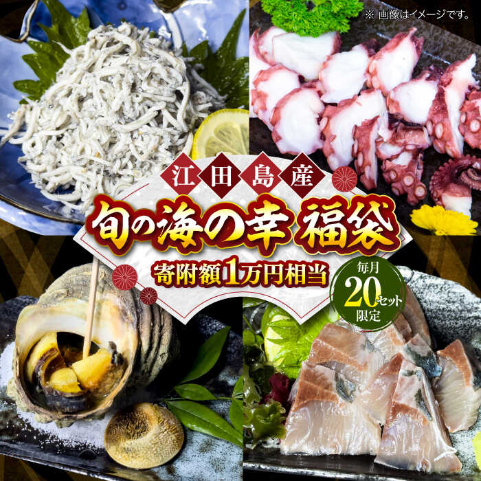 2位! 口コミ数「0件」評価「0」【何が届くかお楽しみ】旬の海の幸 福袋 寄附額1万円相当 魚介類 海産物 海鮮 刺身 広島 江田島市/七宝丸[XBY004]