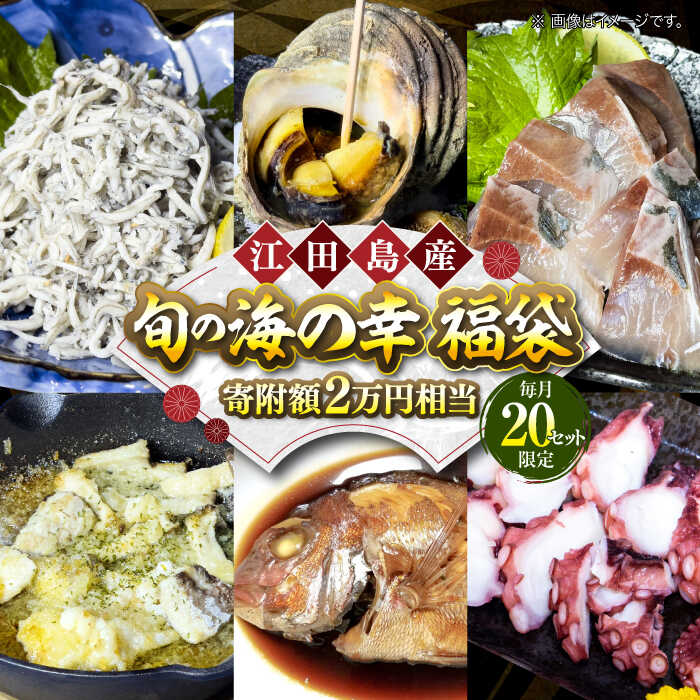 [何が届くかお楽しみ]旬の海の幸 福袋 寄附額2万円相当 魚介類 海産物 海鮮 刺身 広島 江田島市/七宝丸