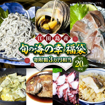 【何が届くかお楽しみ】旬の海の幸 福袋 寄附額3万円相当 魚介類 海産物 海鮮 刺身 広島 江田島市/七宝丸[XBY006]