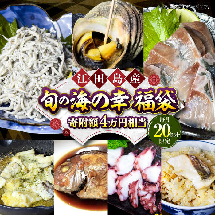 5位! 口コミ数「0件」評価「0」【何が届くかお楽しみ】旬の海の幸 福袋 寄附額4万円相当 魚介類 海産物 海鮮 刺身 広島 江田島市/七宝丸[XBY007]