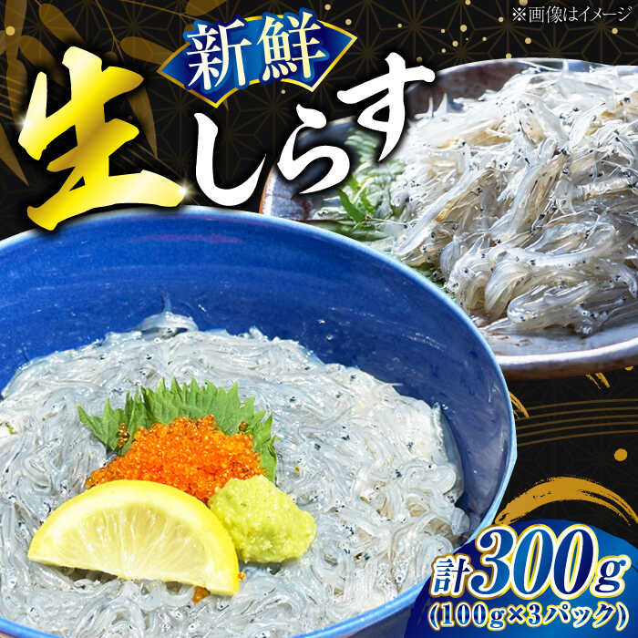 生しらす 100g×3個 しらす シラス 冷凍 小分け 魚介類 海鮮 丼 広島県産 江田島市/七宝丸[XBY013] [7日以内発送]