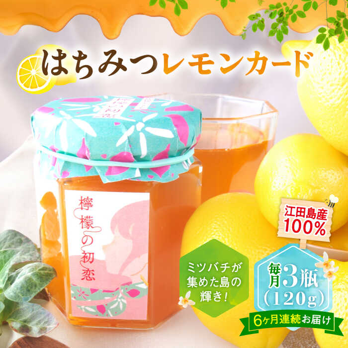 楽天広島県江田島市【ふるさと納税】【全6回定期便】いつもの朝食を特別に！江田島はちみつレモンカード『檸檬の初恋』 120g×3本セット れもん ハチミツ ハニー 蜂蜜 広島 江田島市/はつはな果蜂園[XCD010]