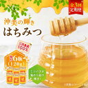 【ふるさと納税】【全3回定期便】まじりっけなし!江田島産100%!はちみつ『沖美の輝き』120g×6本セット ハチミツ ハニー 蜂蜜 国産 広島県 江田島市/は...