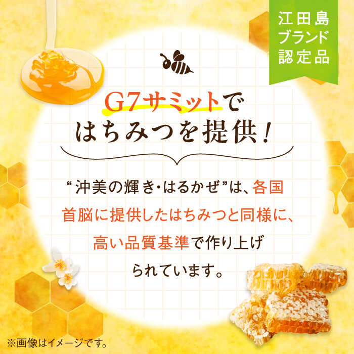 【ふるさと納税】【全3回定期便】まじりっけなし！江田島産100％!はちみつ2種食べ比べセット（120g×3本） ハチミツ ハニー 蜂蜜 国産 広島県 江田島市/はつはな果蜂園[XCD027]