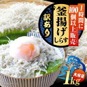 【ふるさと納税】【訳あり】しらす 冷凍 シラス 干し 釜揚げ鮮度抜群&水分率80%!ふわふわ釜揚げしらす 1kg (業務用) 冷凍 シラス 鮮魚 ギフト 海鮮丼...