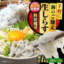 【ふるさと納税】【全12回定期便】鮮度抜群 生しらす 100g×10個 しらす 釜揚げ 冷凍 シラス 小分け パック 干し 魚介類 鮮魚 海鮮 海産物 セット ...