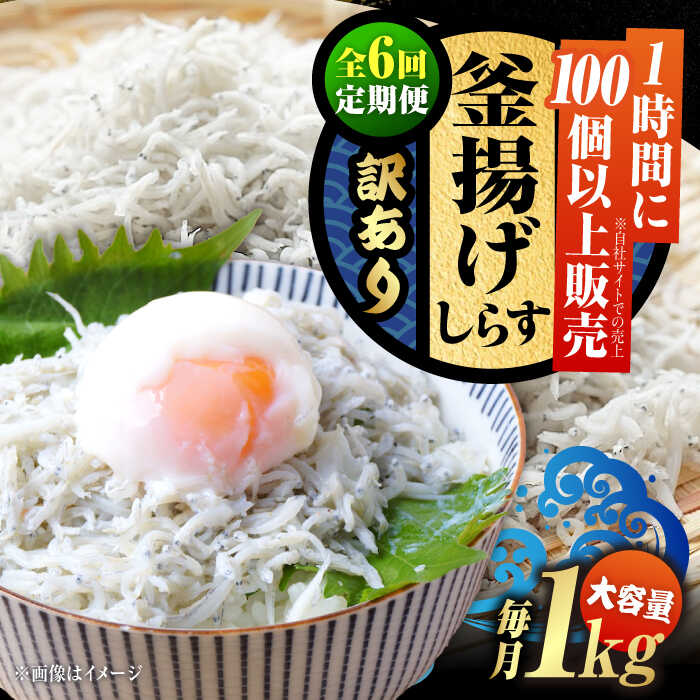 【ふるさと納税】【全6回定期便】【訳あり】鮮度抜群 ふわふわ 釜揚げしらす 1kg (業務用) しらす 釜揚げ 冷凍 シラス 小分け パック 干し 魚介類 鮮魚...