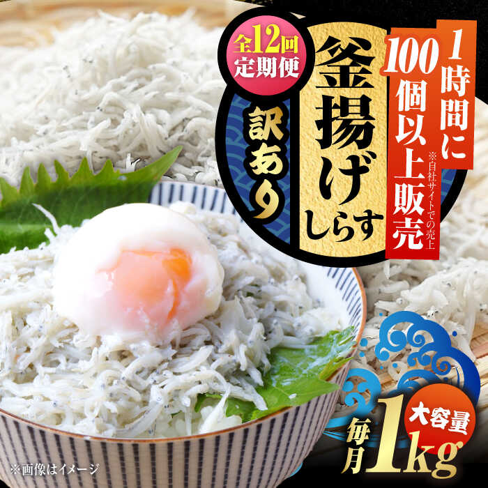 【ふるさと納税】【全12回定期便】【訳あり】鮮度抜群 ふわふわ 釜揚げしらす 1kg (業務用) しらす 釜揚げ 冷凍 シラス 小分け パック 干し 魚介類 鮮...