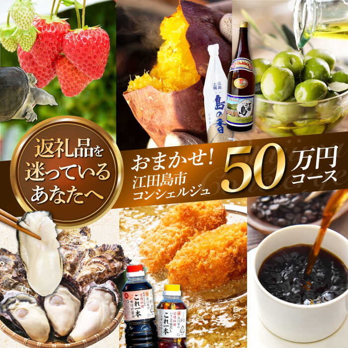 【ふるさと納税】【江田島市コンシェルジュ】返礼品おまかせ!寄附額50万円コース 500000円 牡蠣 柑橘 詰め合わせ プレゼント 内祝い お返し ギフト グル...