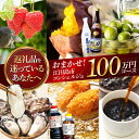 【ふるさと納税】【江田島市コンシェルジュ】返礼品おまかせ!寄附額100万円コース 1000000円 牡蠣 柑橘 詰め合わせ プレゼント 内祝い お返し ギフト ...