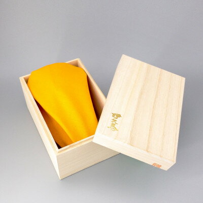 【ふるさと納税】銅蟲　伊久馬　ビアジョッキ【1701426】