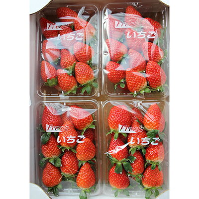 1月発送【季節限定】新鮮朝採れ!安芸太田町産いちご「かおり野」 (280g×4パック)【配送不可地域：離島・北海道・沖縄県】【1029482】