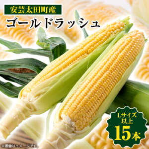 【ふるさと納税】【期間限定】安芸太田町産とうもろこし(ゴールドラッシュ) Lサイズ以上15本!【配送不可地域:離島】【1076730】